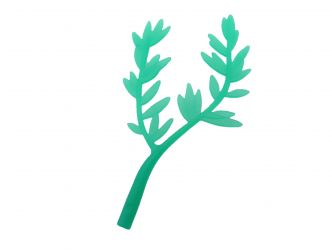 Weidenast Weidenblätter