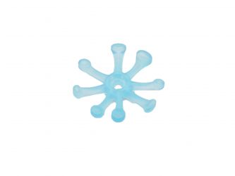 Sonnentau Blüte Blume