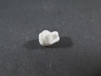 Rosenblüte geschlossen