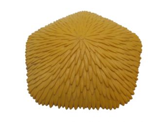 Strohdach Blätterdach