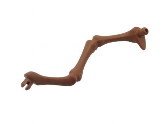 Skelett Bein Dinosaurier