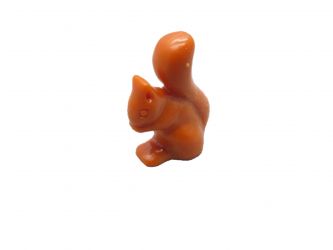 Eichhörnchen sitzend Eichhörnchen sitzend