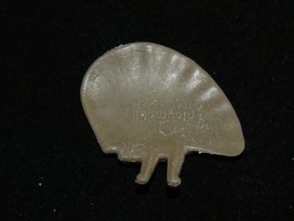 Elefantenohr klein rechts