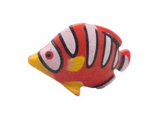 Fisch Schmetteringsfisch