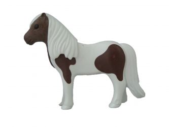 Pferd Pony
