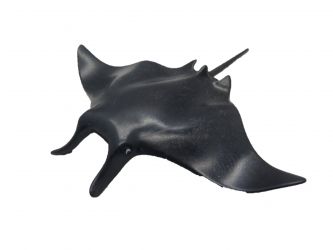 Rochen, Manta