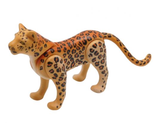 Leopard groß Leopard groß